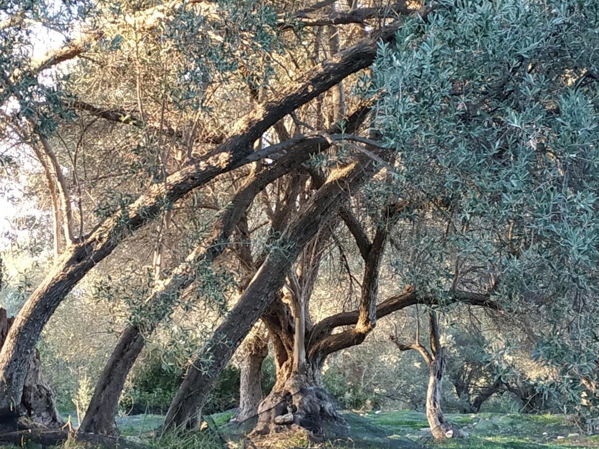Of Light * Perama (Crete)