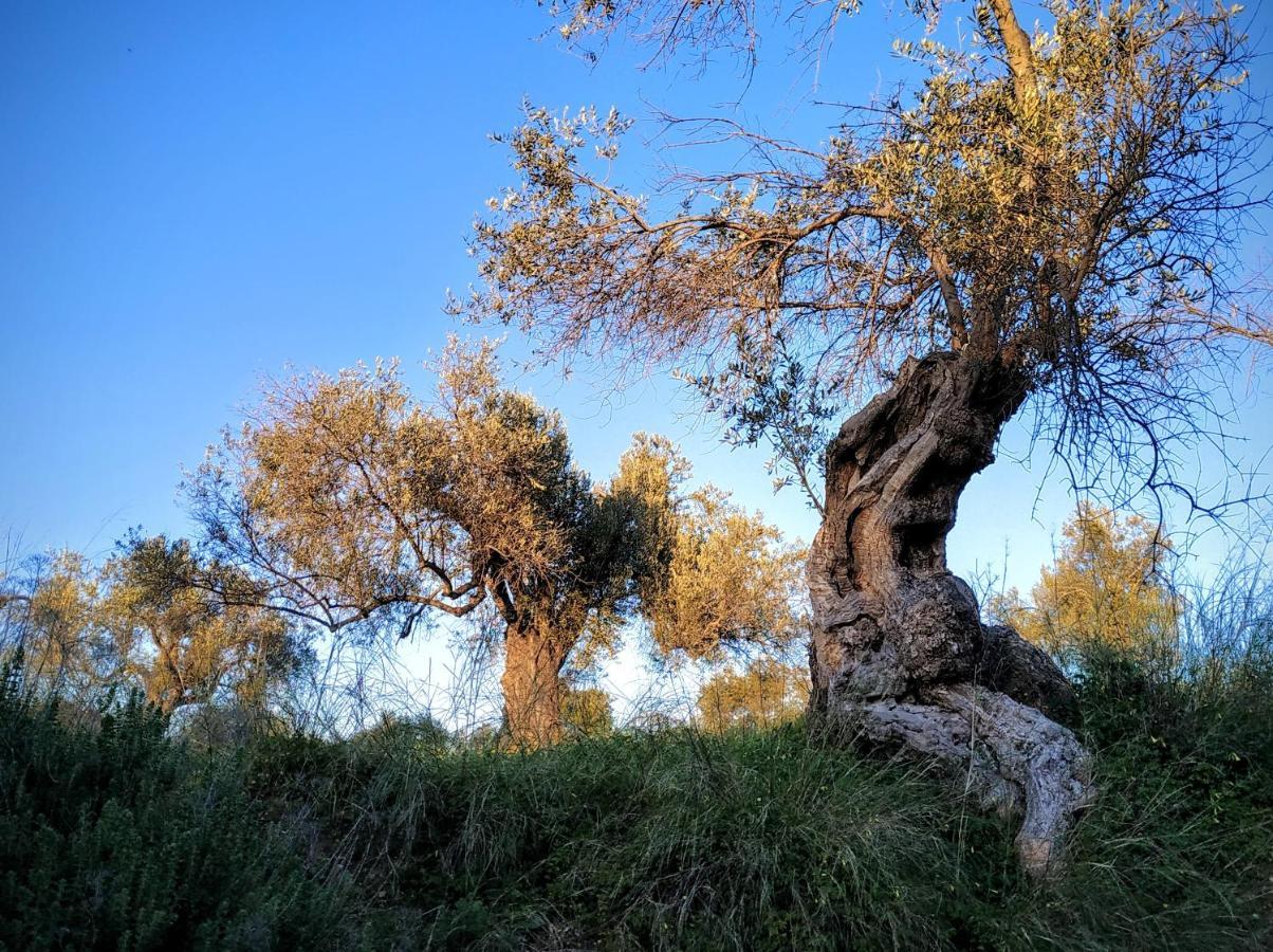 דירה Of Light *